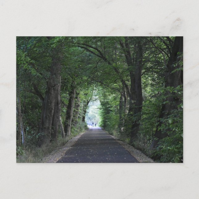 Bäume Postkarte (Vorderseite)