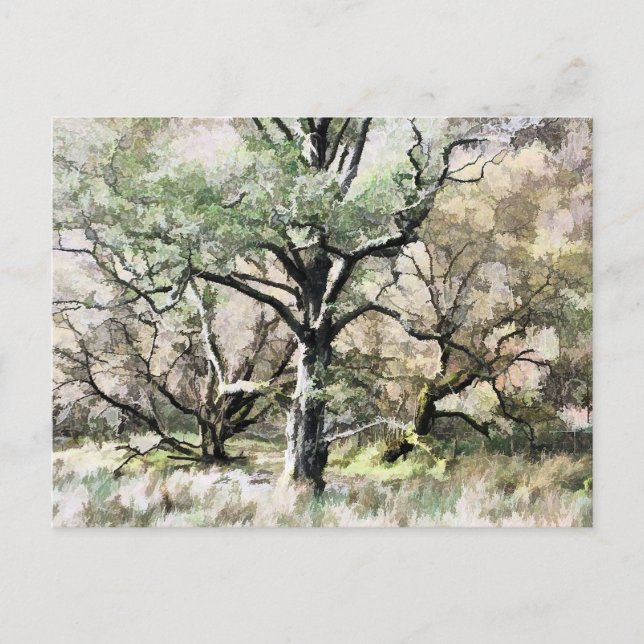 BÄUME POSTKARTE (Vorderseite)