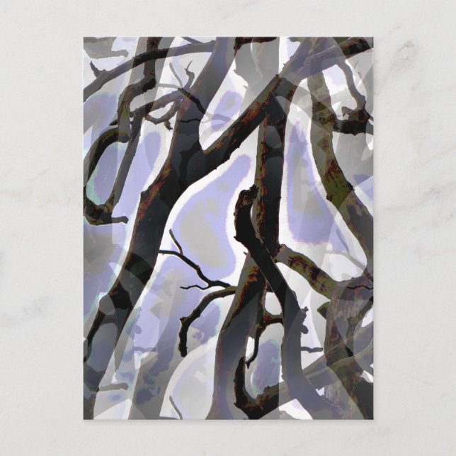 BÄUME POSTKARTE (Vorderseite)