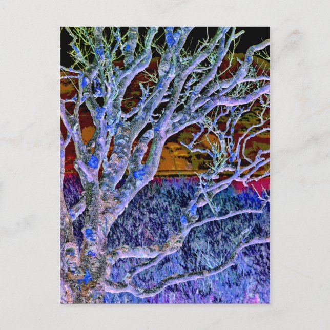 BÄUME POSTKARTE (Vorderseite)