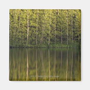 Bäume reflektiert im Wasser Magnet