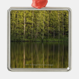 Bäume reflektiert im Wasser Silbernes Ornament