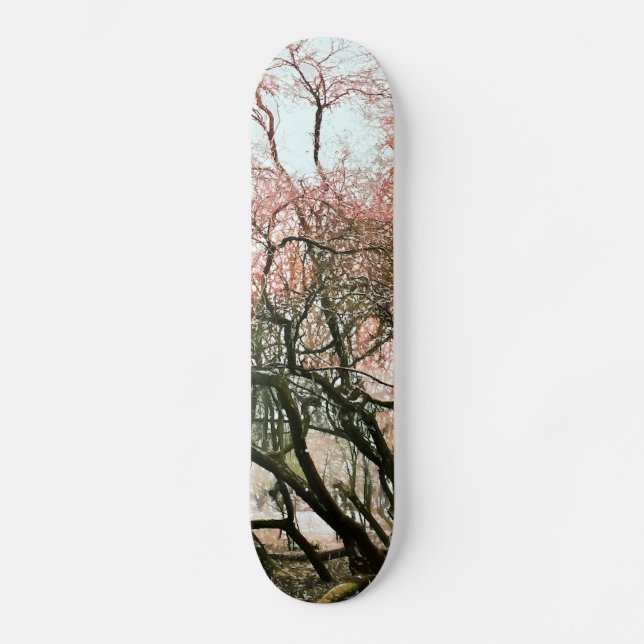 BÄUME SKATEBOARD (Vorderseite)