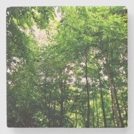 Bäume Steinuntersetzer