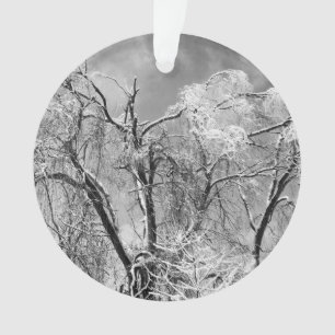 Bäume tragen Winter Ornament