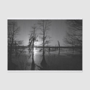 Bäume u. Sumpf des Bayou-Sonnenuntergang- Seidenpapier