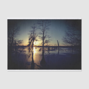 Bäume u. Sumpf des Bayou-Sonnenuntergang- Seidenpapier