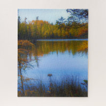 Bäume über einem See im Fallpuzzlespiel