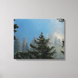 Bäume ummantelte Canvas Leinwanddruck