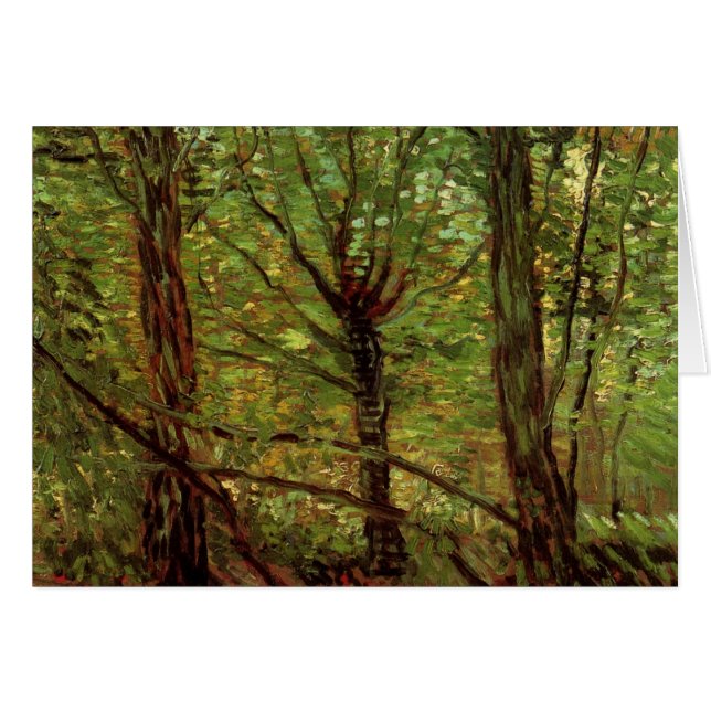 Bäume und Unterwuchs von Vincent van Gogh (Vorderseite (Horizontal))