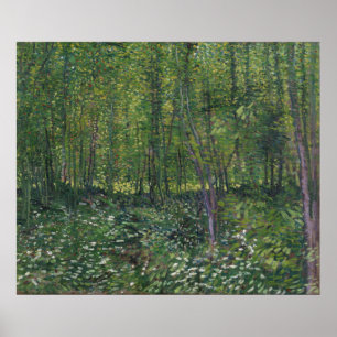 Bäume und Unterwuchs von Vincent Van Gogh Poster