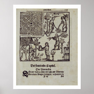 Bäume, "vom niederländischen Gärtner" durch Johan Poster