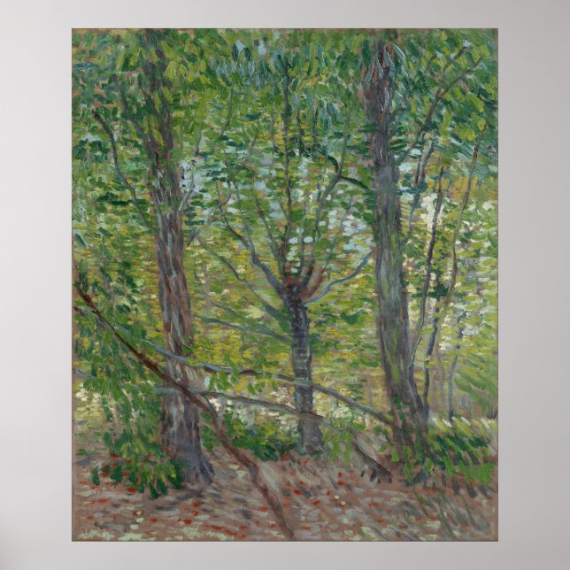 Bäume von Vincent Van Gogh Poster (Vorne)