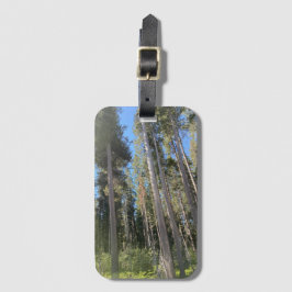 Bäume Wald Natur Wald Gepäckanhänger