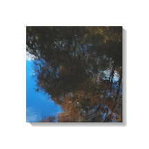 Bäume Wasser Reflexion II Leinwanddruck gestreckt