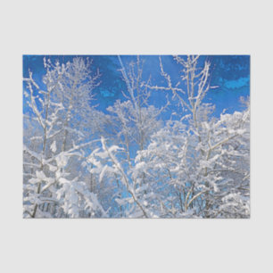 Bäume Winter Schnee bedeckt Blaue Himmel Gemalte S Seidenpapier