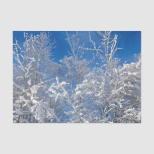 Bäume Winter Schnee bedeckt Blaue Himmel Landschaf Seidenpapier