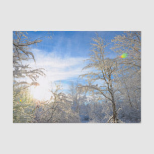 Bäume Winter Schnee bedeckt Blauer Himmel Wolken L Seidenpapier
