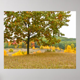 BÄUME WURDEN IN MICHIGAN LAND GOLDEN POSTER