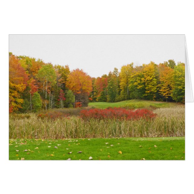 "BÄUME ZEIGEN VON FALLFARBE"/ MICHIGAN LOCALE (Vorderseite (Horizontal))