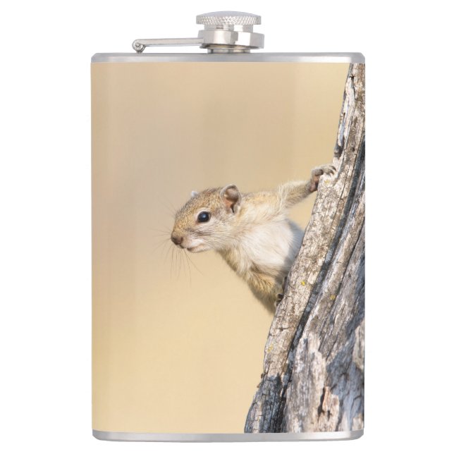 Baumeichhörnchen Flachmann (Vorderseite)