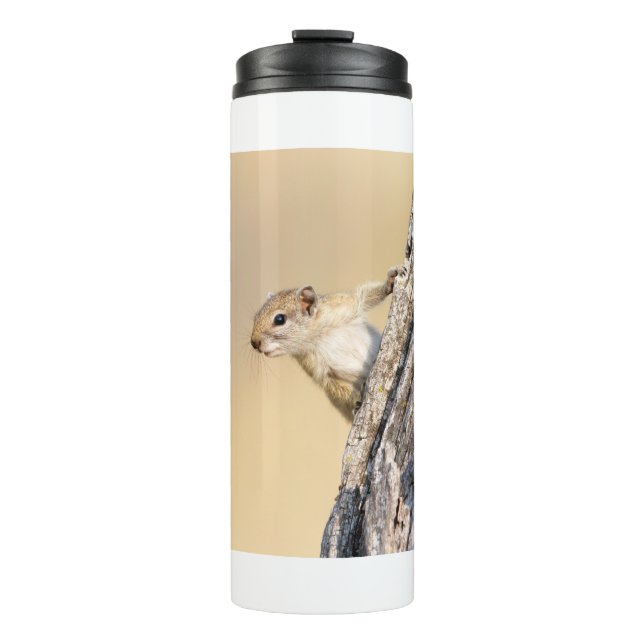 Baumeichhörnchen Thermosbecher (Vorderseite)