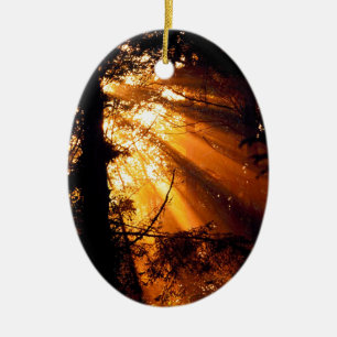 Bäumemystische Sunbeams olympisch Keramik Ornament