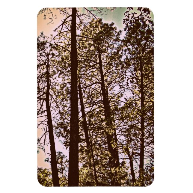 Baumfarbe Magnet (Vertikal)