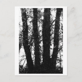 Baumfotografie - Arden Postkarte