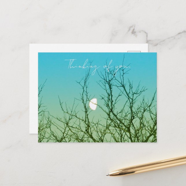 Baumfotografie Postkarte (Vorderseite/Rückseite Beispiel)