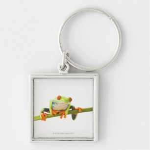 Baumfrosch auf Stamm Schlüsselanhänger