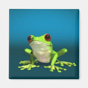 Baumfroschmagnet Magnet