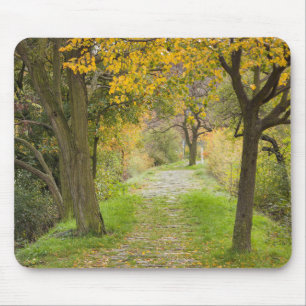 Baumgesäumter Pfad im Herbst Mousepad