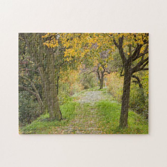 Baumgesäumter Weg im Herbst (Horizontal)
