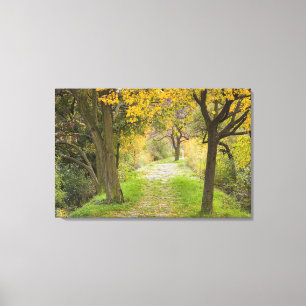 Baumgesäumter Weg im Herbst Leinwanddruck