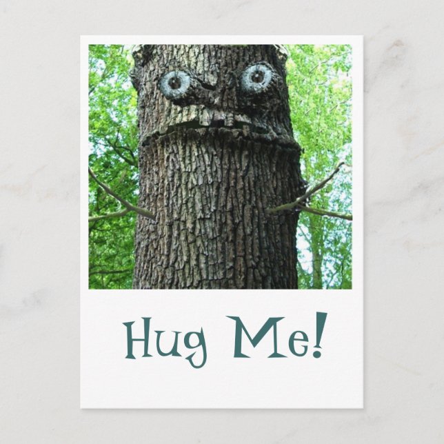 Baumhugging Postcard Postkarte (Vorderseite)
