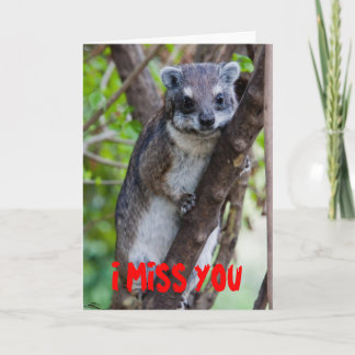 BaumHyrax, DU FEHLST MIR Karte