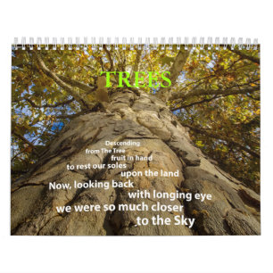 Baumkalender Kalender