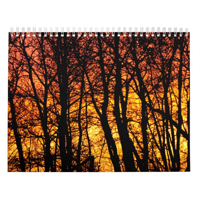 Baumkalender Kalender (Titelbild)