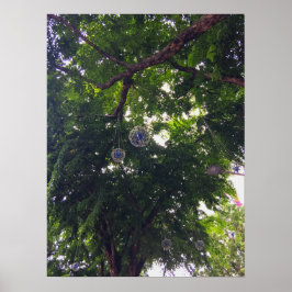 Baumkanopie mit dekorativen Orbs Urbane Natur Poster