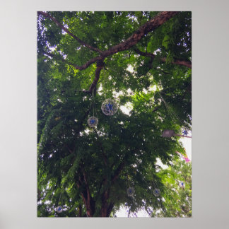 Baumkanopie mit dekorativen Orbs Urbane Natur Poster