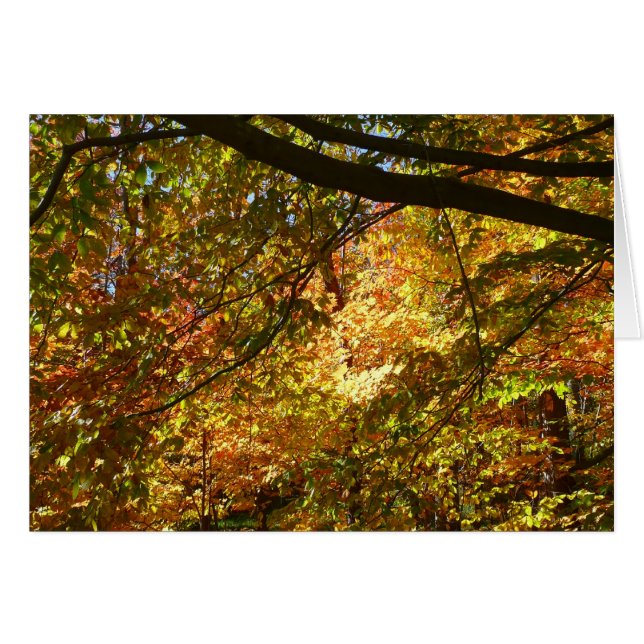 Baumkronen von Herbstlauben I Gelbe Herbstlandscha (Vorderseite (Horizontal))