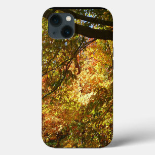 Baumkronen von Herbstlauben I Gelbe Herbstlandscha Case-Mate iPhone Hülle