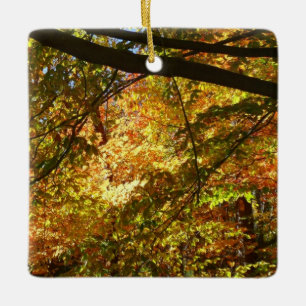 Baumkronen von Herbstlauben I Gelbe Herbstlandscha Keramikornament