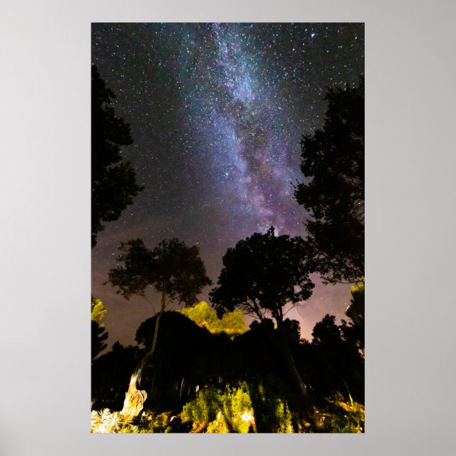 Baumlandschaft mit Milchstraße Poster (Vorne)