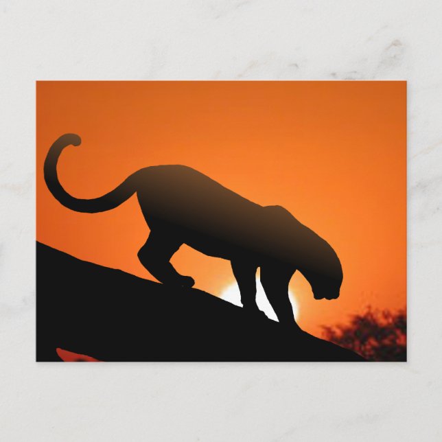 Baumleopard Postkarte (Vorderseite)