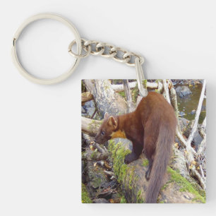 Baummarder Waldtiere Geschenk Ländliche Natur Schlüsselanhänger