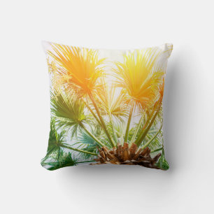Baumpalme helle Sonne Hintergrund Sommer tropisch  Kissen