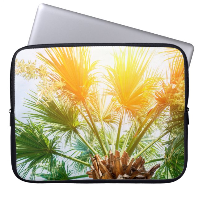 Baumpalme helle Sonne Hintergrund Sommer tropisch  Laptopschutzhülle (Vorderseite)