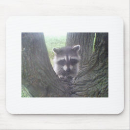 Baumraccoon Mousepad